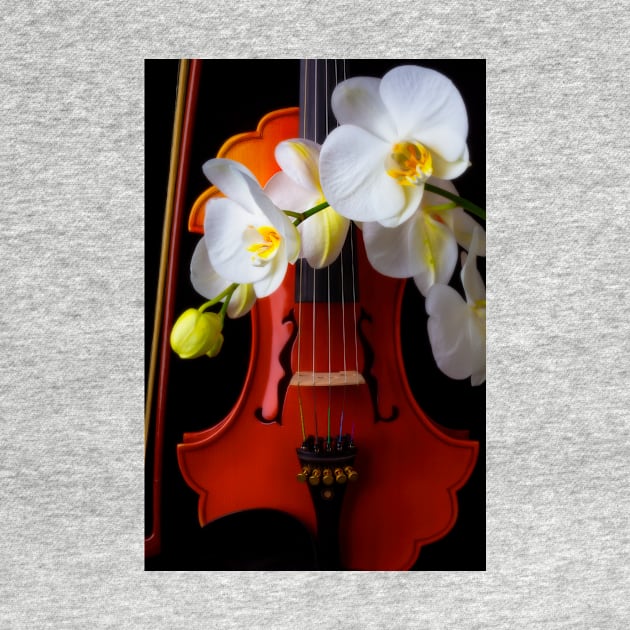 White Orchids And Baroque Violin by photogarry